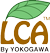 LCA系统