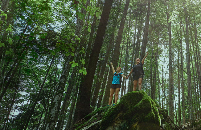 通向清洁技术循环社会:生物质素